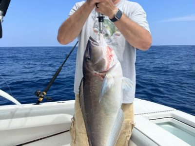 Golden Tilefish Ocean City Fishing Charter 21 Golden Tilefish Ocean City Fishing Charter 21