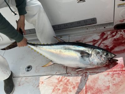 Ocean City Tuna Fishing Charter Boat 9 Ocean City Tuna Fishing Charter Boat 9